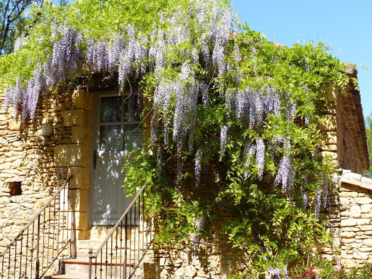 Chambres D'Hotes Les Boudines Saint-Germain-de-Belvès Oda fotoğraf